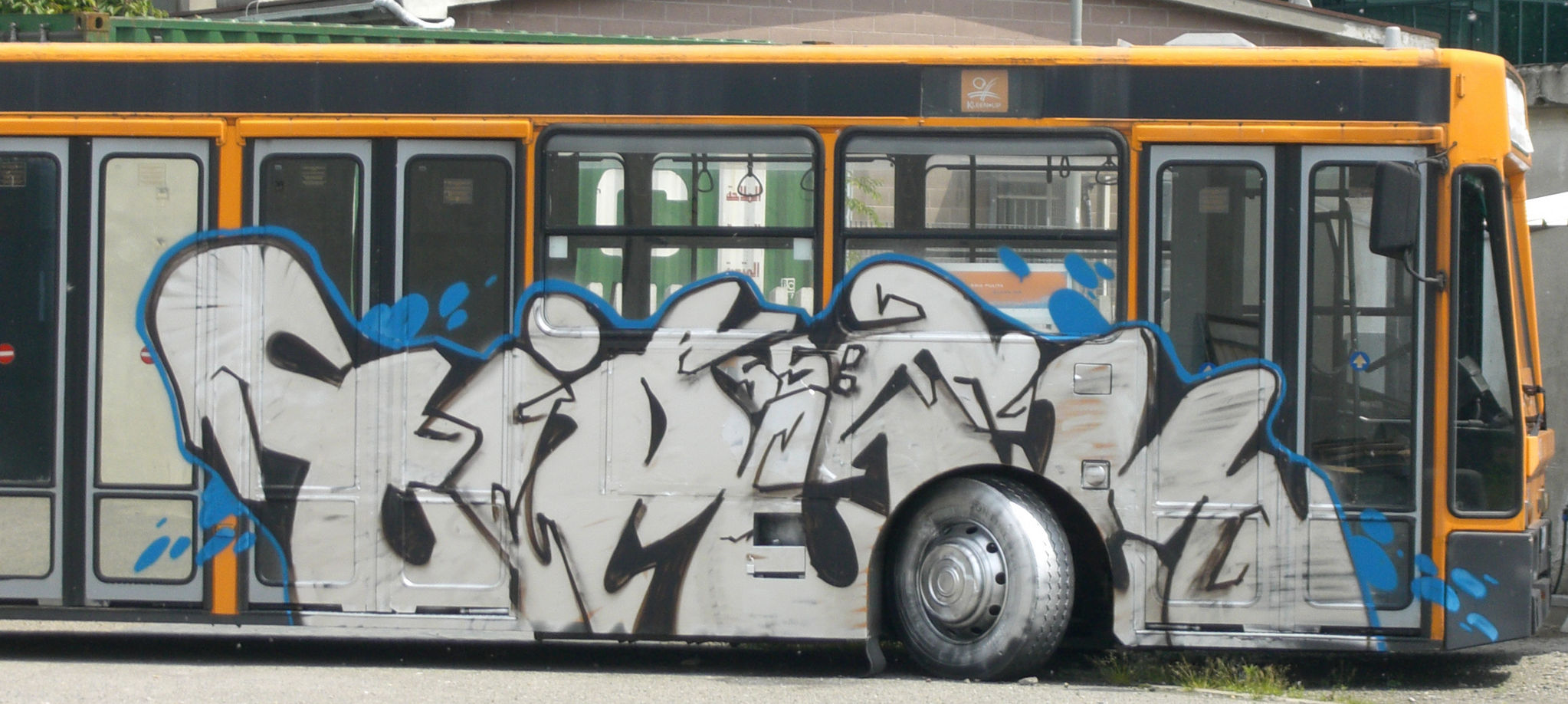 TARAMELLO INT 55